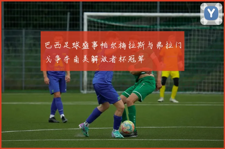 巴西足球盛事帕尔梅拉斯与弗拉门戈争夺南美解放者杯冠军