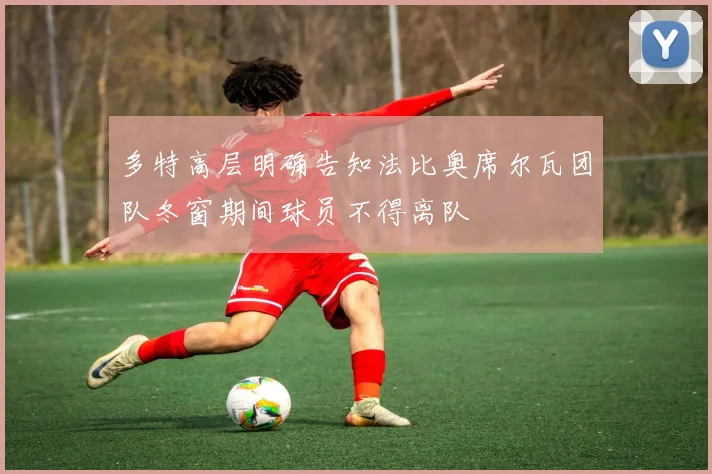 多特高层明确告知法比奥席尔瓦团队冬窗期间球员不得离队