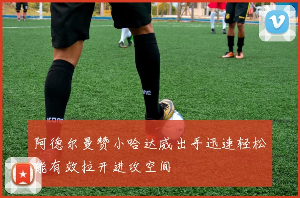 阿德尔曼赞小哈达威出手迅速轻松能有效拉开进攻空间