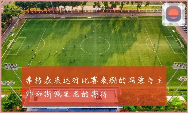 弗格森表达对比赛表现的满意与主帅加斯佩里尼的期待