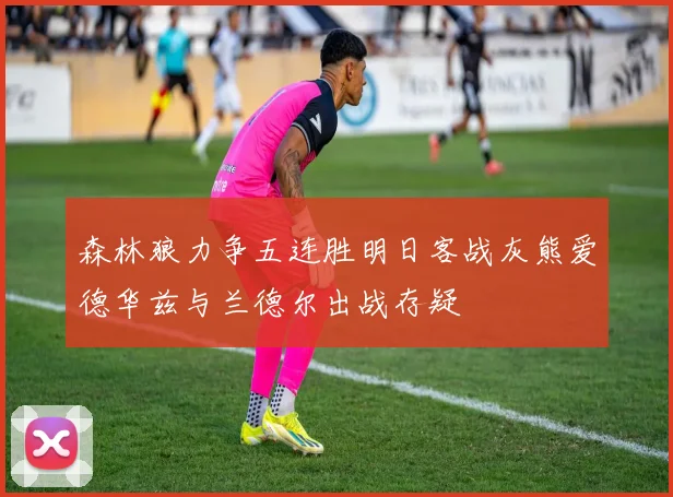 森林狼力争五连胜明日客战灰熊爱德华兹与兰德尔出战存疑